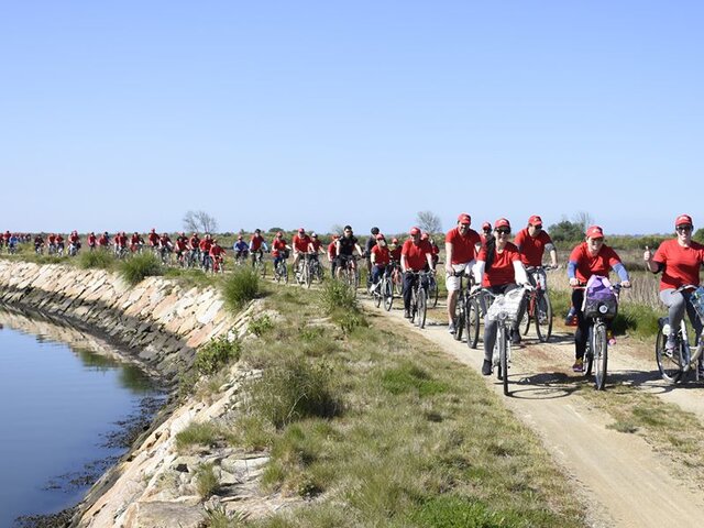 101845496_2958503417561314_7365986002038423552_o