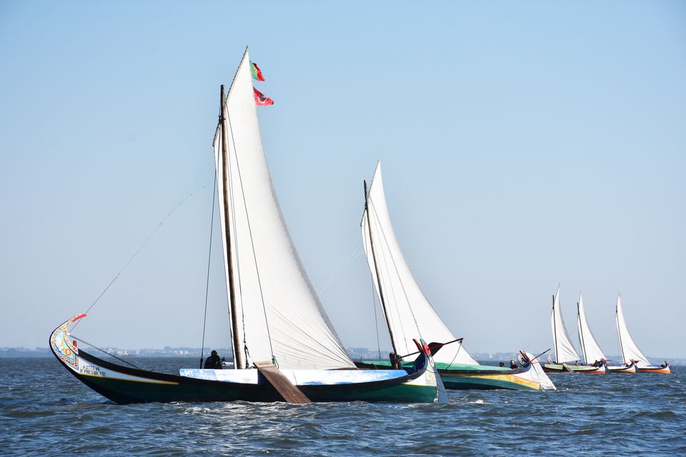 O PRESIDENTE FOI O GRANDE VENCEDOR DA REGATA DE BARCOS MOLICEIROS DA ROMARIA DE SÃO PAIO DA TORRE...