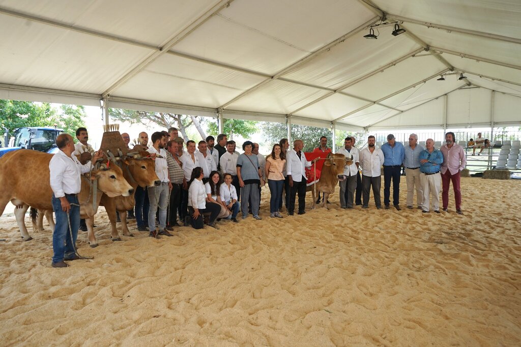 VII CONCURSO REGIONAL DE RAÇA MARINHOA