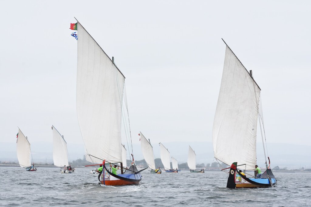  BICO RECEBE REGATA DE BARCOS MOLICEIROS NO PRÓXIMO DOMINGO