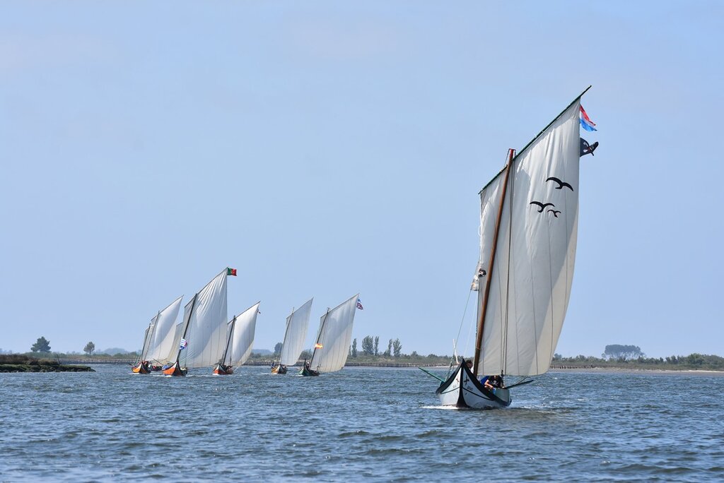 JORGE VIEIRA E ARMÉNIO PEREIRA VENCERAM A CORRIDA DE BATEIRAS DA FESTA DO EMIGRANTE