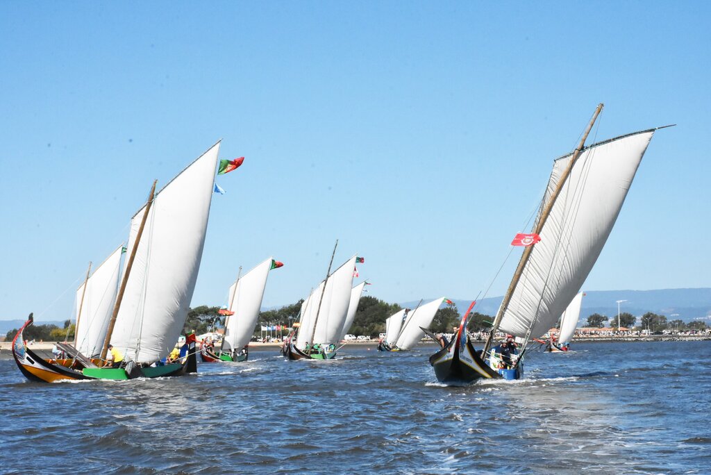 MARCO SILVA VENCEU A REGATA DE MOLICEIROS DA FESTA DO EMIGRANTE