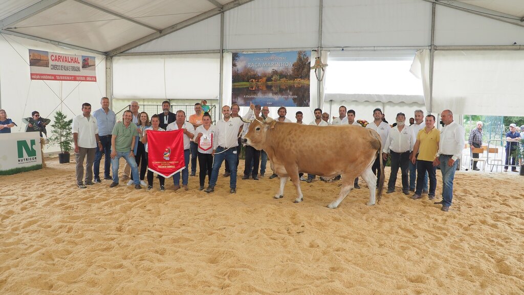 MURTOSA RECEBEU O VIII CONCURSO REGIONAL DA RAÇA MARINHOA