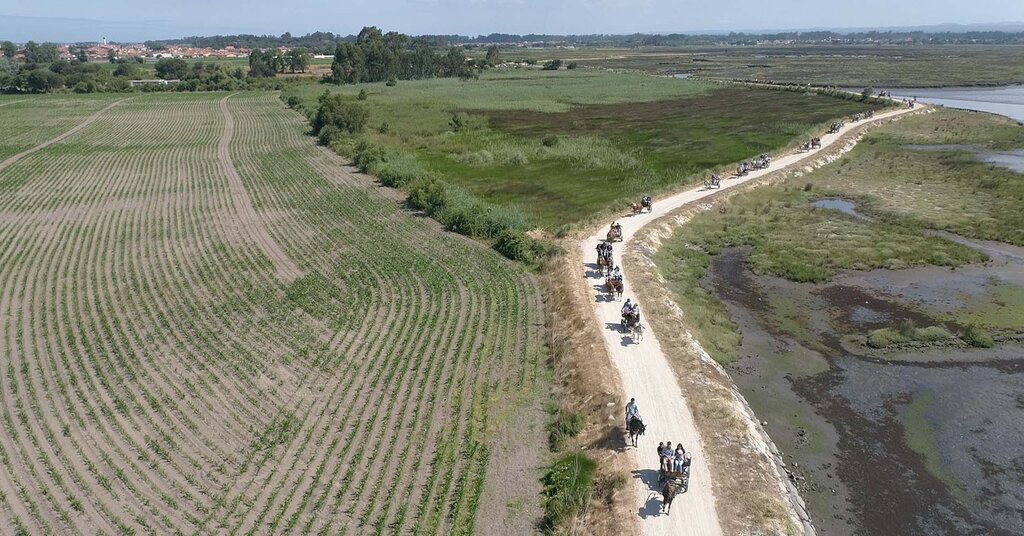  MURTOSA RECEBEU PASSEIO EQUESTRE