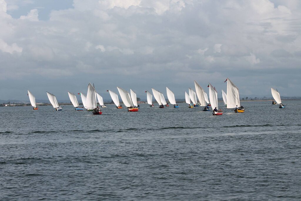 ROMARIA DE SÃO PAIO ATRAIU MILHARES À TORREIRA