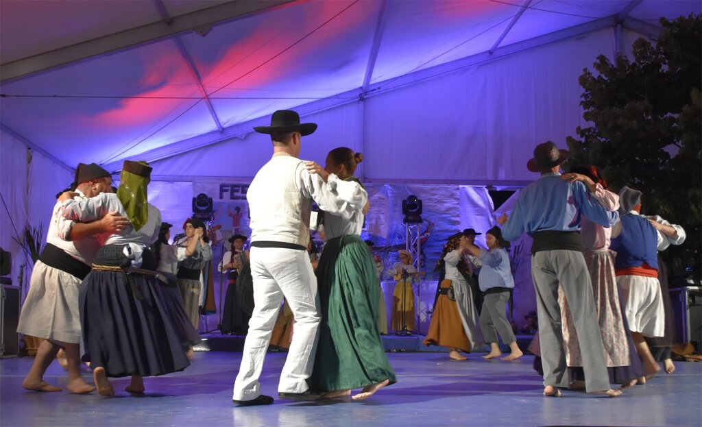 FESTIVAL DE FOLCLORE DA BEIRA - RIA