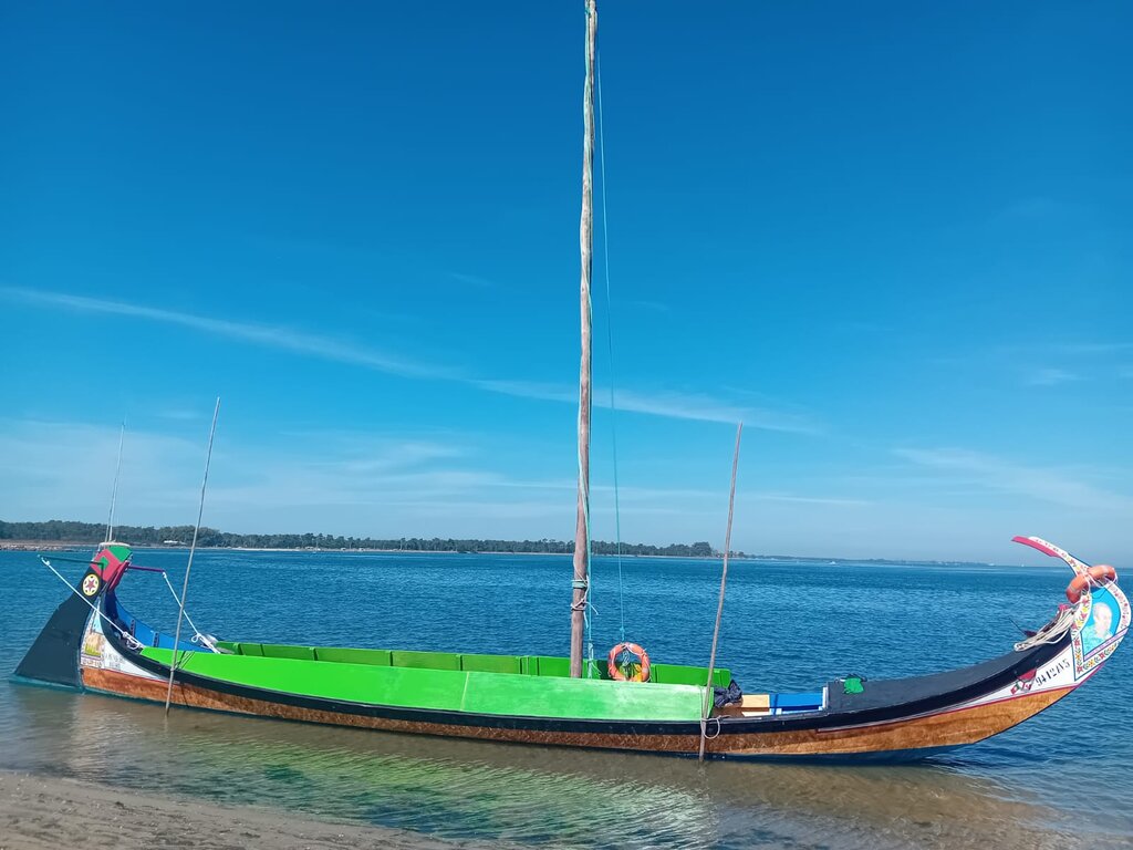 A. Rendeiro Moliceiro