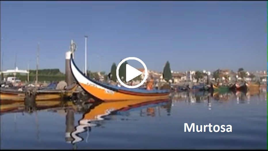 Murtosa promotion capa play