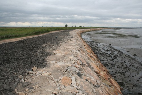 Requalifica&ccedil;&atilde;o da Marginal da Ria entre a Ribeira de Pardelhas e os Ameirinhos