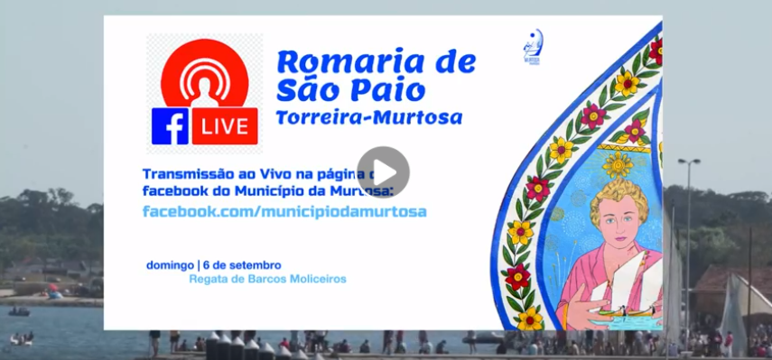 Regata de Barcos Moliceiros_01